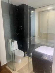 Residences @ Evelyn (D11), Condominium #491696111